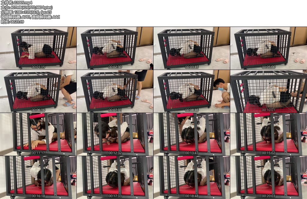 [涵涵原创] 涵涵 K9狗笼调教 开口器+流口水+镣铐+铁链固定+黑丝+丁字裤+SP-丝依依