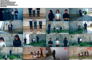 [胜景影视] 神奇女不归路4-丝依依