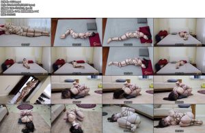 [半岛束艺] 流星一招鲜吃遍天下的万能水晶球-丝依依