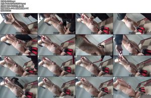 [娜绳原创] 娜绳工作室 青柠QNLK43（上）-丝依依