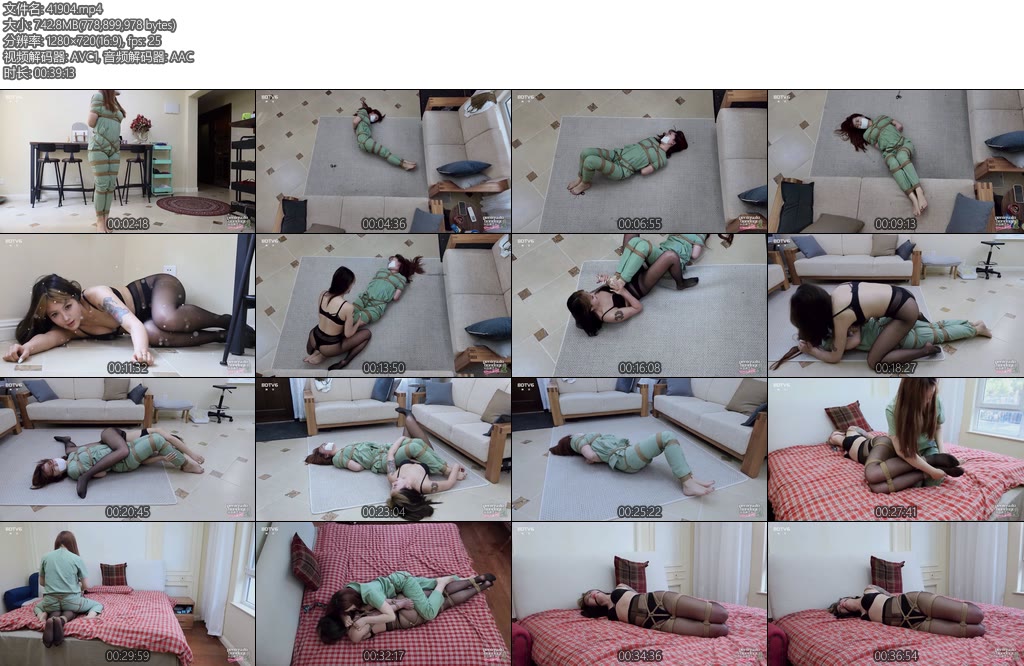 [半岛束艺] 布玛波雅兽医与猫-丝依依