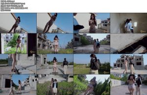 [半岛束艺] 佟镜故地重游身份互换-丝依依