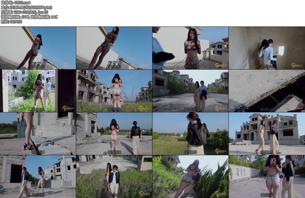 [半岛束艺] 佟镜故地重游身份互换-丝依依