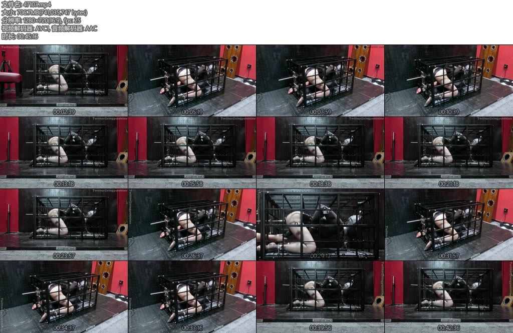 [鹿角与猫爪] 笼中放置在笼子里认真反思才能得到棒棒和插件的奖励四肢铐起装笼固定头戴皮革头套吊起手臂直臂挂着铁杆屁股X入插件铁笼绝对禁锢-丝依依