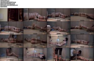 [半岛束艺] 佟司现尿现冲-丝依依