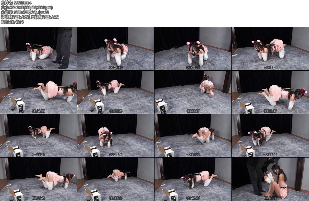 [试炼原创] 倩倩人形犬电击特辑下采访篇郊狼100被电的口水一直流全身震颤痛苦嚎叫采访倩倩直言这次是有史以来最痛苦的一次-丝依依