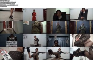 [雅俗阁] 罚雅丽-丝依依