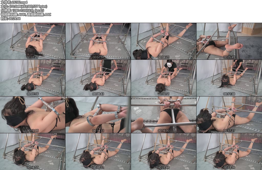 [撒琅制造] 汤圆铁架内衣驷马装置固定-丝依依