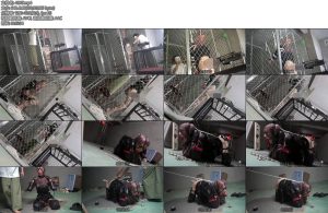 [面具原创] 自动化榨汁训练系列16cm超高跟193的长腿极致禁锢紧缚强制榨汁忍耐训练k9钢勾狗狗翘臀抬首体态训练-丝依依