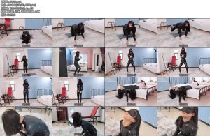 [心悦艺束] 皮衣女王被征服完成主任的各种调教动作命令学狗叫学狗撒尿结果动作主人还不满意被惩罚扎马步最后被主任当成摆腿-丝依依