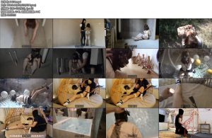 [白城原创]（3）最終章上集-丝依依