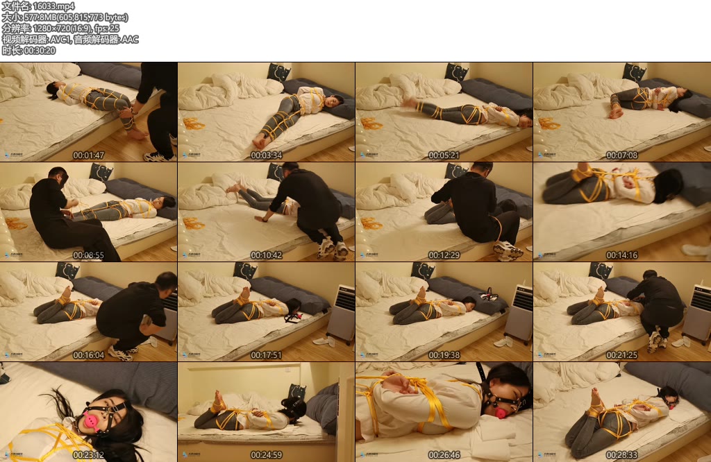 [JS原创] 小冷 金色丝绳驷马紧缚 马具型口塞 鼻钩 TK-丝依依