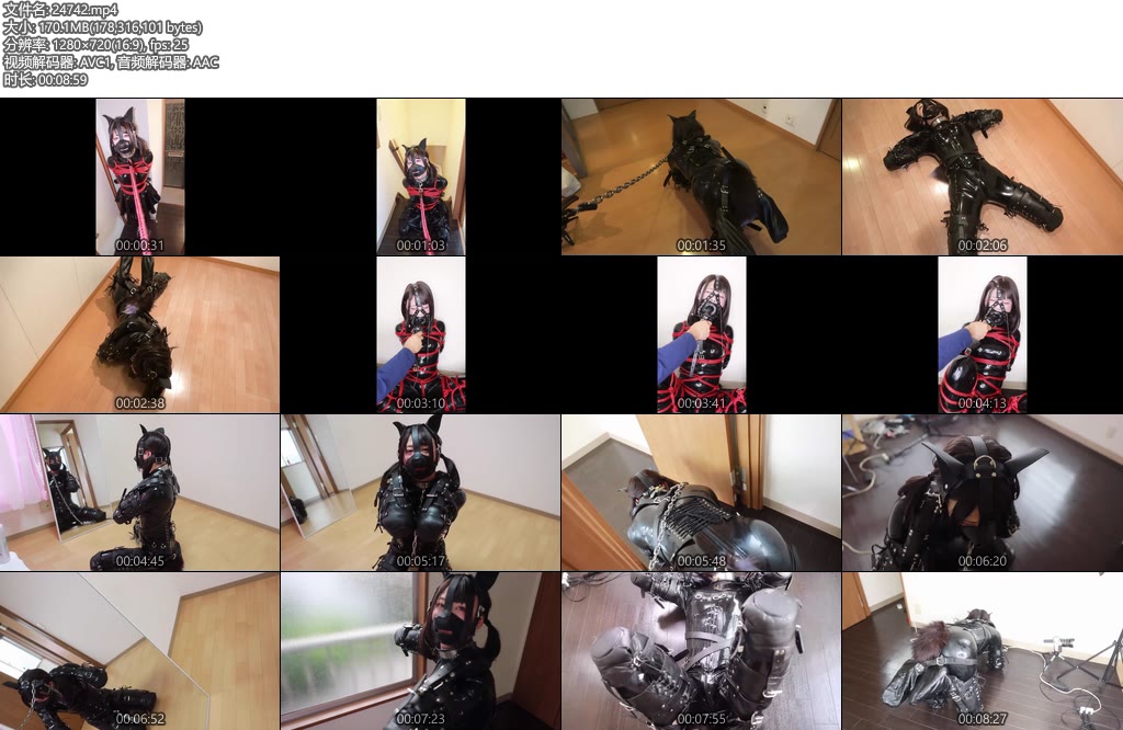 [D-Lemon] 乳胶犬-丝依依