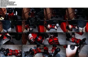 [JIOJIO原创] JIOJ缚馆 12PU红皮衣狗奴训练K9套装放置调教郊狼电击强制GC-丝依依