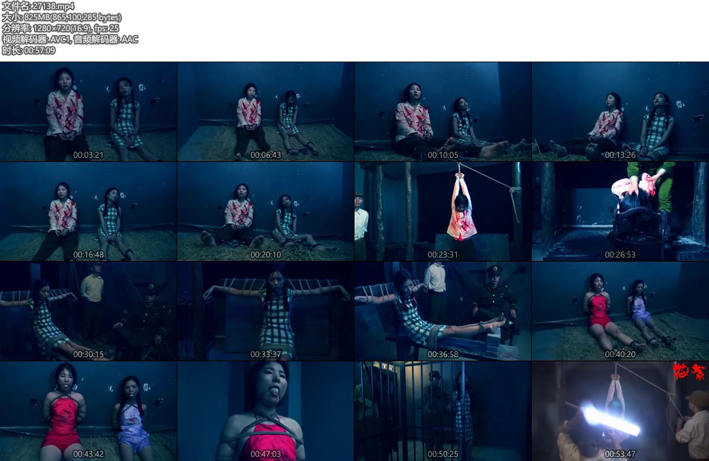 [胜景影视] 喋血风云（下集）-丝依依