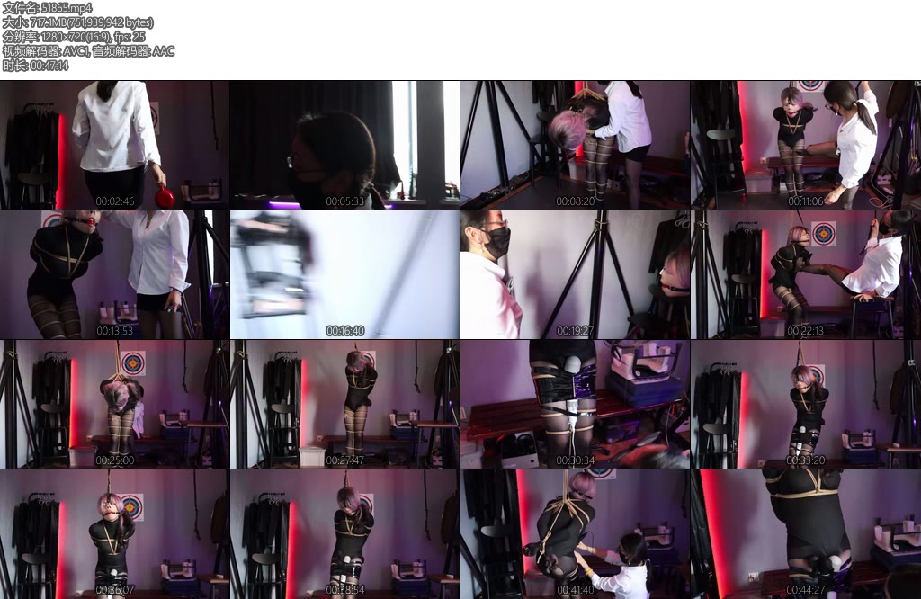 [冷月原创] 花语s专场伪娘M兔兔上班总是摸鱼被女总监花语迷晕在调教室进行调教全身紧缚加悬吊麻花缚腿口球鼻钩增加羞耻感两根震动B一起固定在伪娘兔兔的下体疯狂榨汁-丝依依