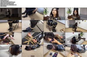 [金宝原创] 猫女盖盖爆弹危局神秘编剧出镜-丝依依