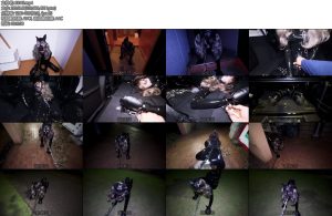 [D-Lemon] k9野外散歩completeplan塞上小尾巴在衣柜被关了一夜之后，主人终于把Lemon牵出来遛弯了-丝依依