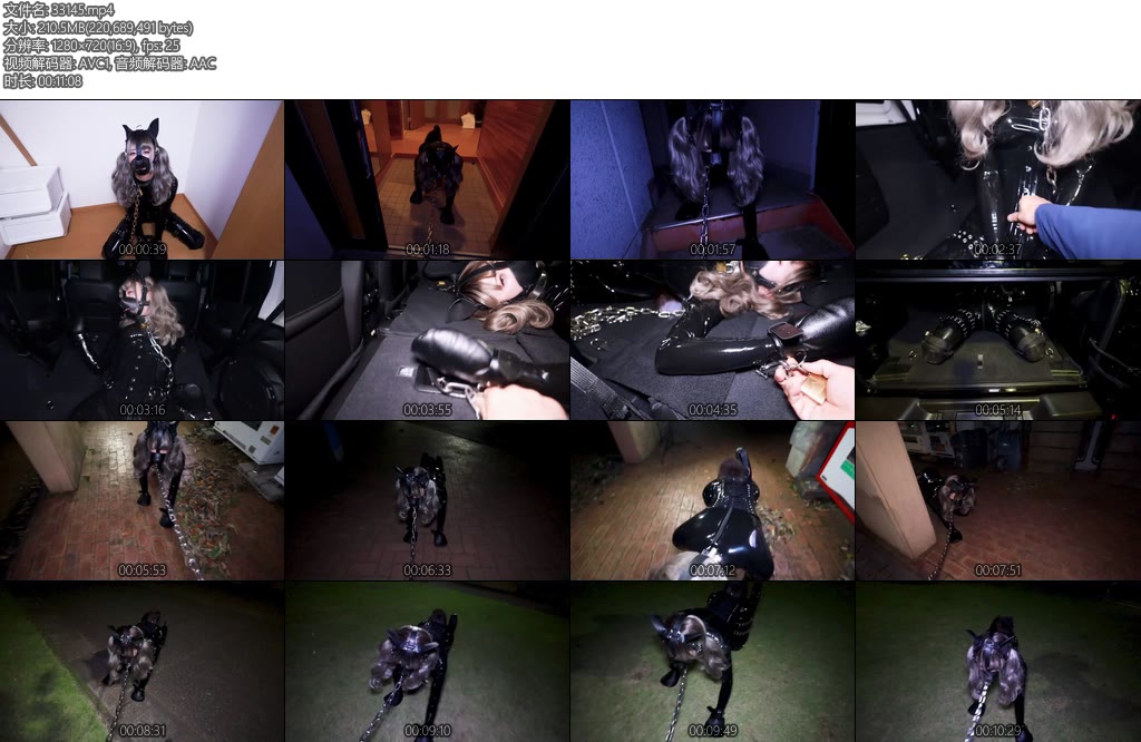 [D-Lemon] k9野外散歩completeplan塞上小尾巴在衣柜被关了一夜之后，主人终于把Lemon牵出来遛弯了-丝依依