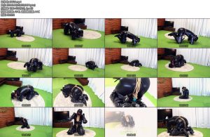 [亚洲绳艺] ヒトイヌ拘束具調教室内犬との過ごし方-丝依依