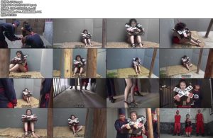 [胜景影视] 江南柳-丝依依