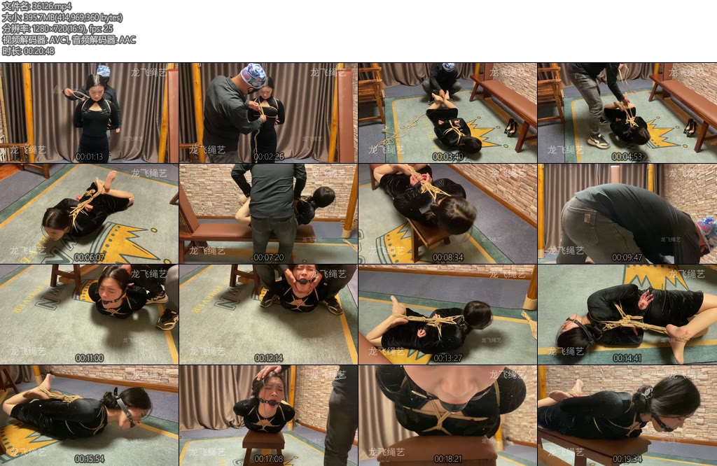 [龙飞原创] 白领体验驷马-丝依依