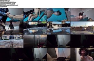 [半岛束艺] 落叶易碎物品轻拿轻放-丝依依