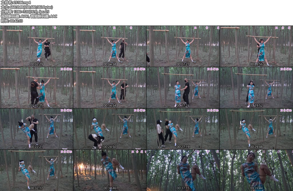 [胜景影视] 旗袍双M树林吊缚-丝依依