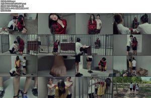 [鑫鑫原创] 若琪饰演王雪琴组织卖淫故意杀人贩毒被抓捕因不配合被跪着惩罚吊起手来惩罚最后被判处死刑户外执行-丝依依