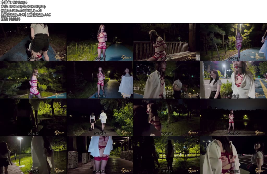 [半岛束艺] 波雅再漆黑的夜晚也无法阻止社死-丝依依