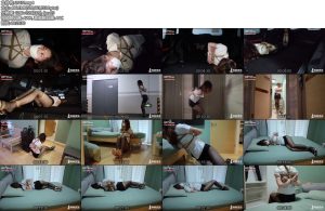 [半岛束艺] 机智的我找到了门禁卡~鹿野-丝依依