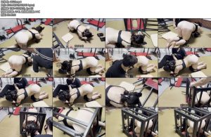 [缚予原创] 你的女神我的狗之木古K9奴调教K9训狗拘束服牵引SP打屁屁踩踏骑乘玩匈关笼子水瓶摆在屁屁上掉下来就狠狠抽屁股主人还要不停蹂躏敏感的地方还必须保持不动真是痛苦又羞耻-丝依依