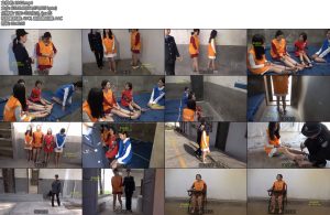 [梨花雨] 姐妹花结伴走向深渊-丝依依