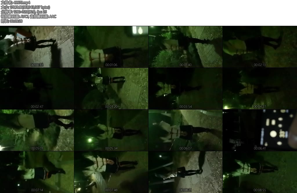 [一只萌熊] 夏夏电击塞小公园高跟外出-丝依依