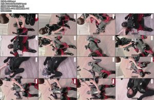 [FSS原创] 史上最凶残气绝到哭DOVE小姐姐的分腿三层HOOD极限BP挑战胶衣丝袜犬缚BP多层hood丝袜头套极限缺养极限BP-丝依依