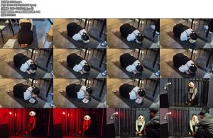 [雨辰原创] 训犬实录之汐汐圈养日记（1）-丝依依