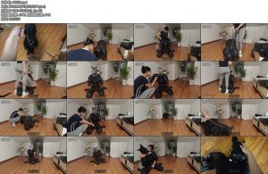 [狸猫原创] 狸猫女M人形犬犬化k9套装控制呼吸息窒让她像小狗和我用宠物按铃交流10分钟左右就将M犬化了呢-丝依依