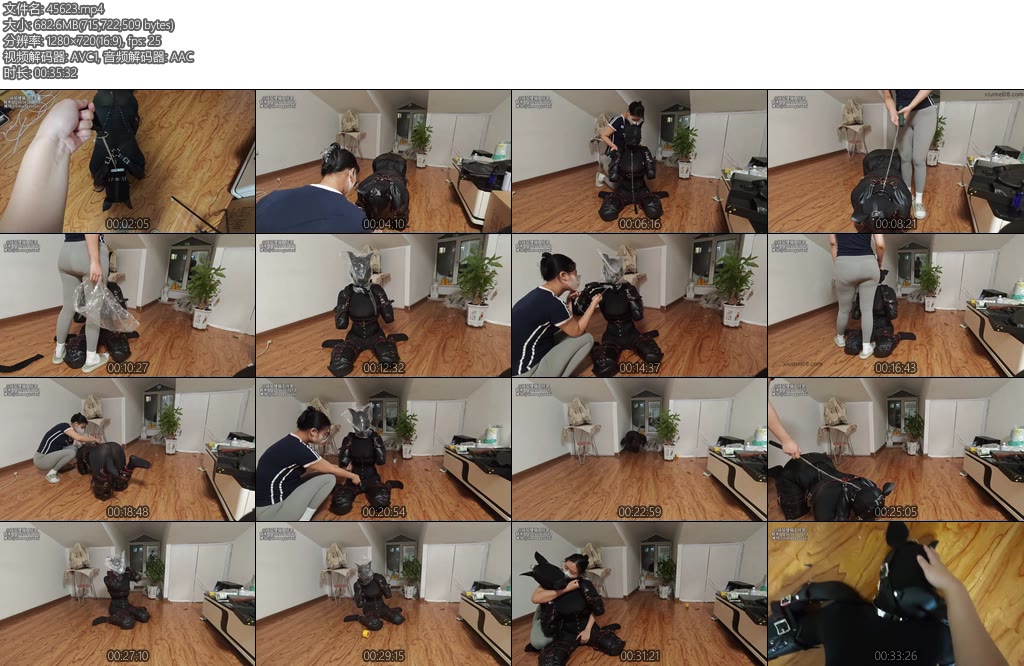 [狸猫原创] 狸猫女M人形犬犬化k9套装控制呼吸息窒让她像小狗和我用宠物按铃交流10分钟左右就将M犬化了呢-丝依依