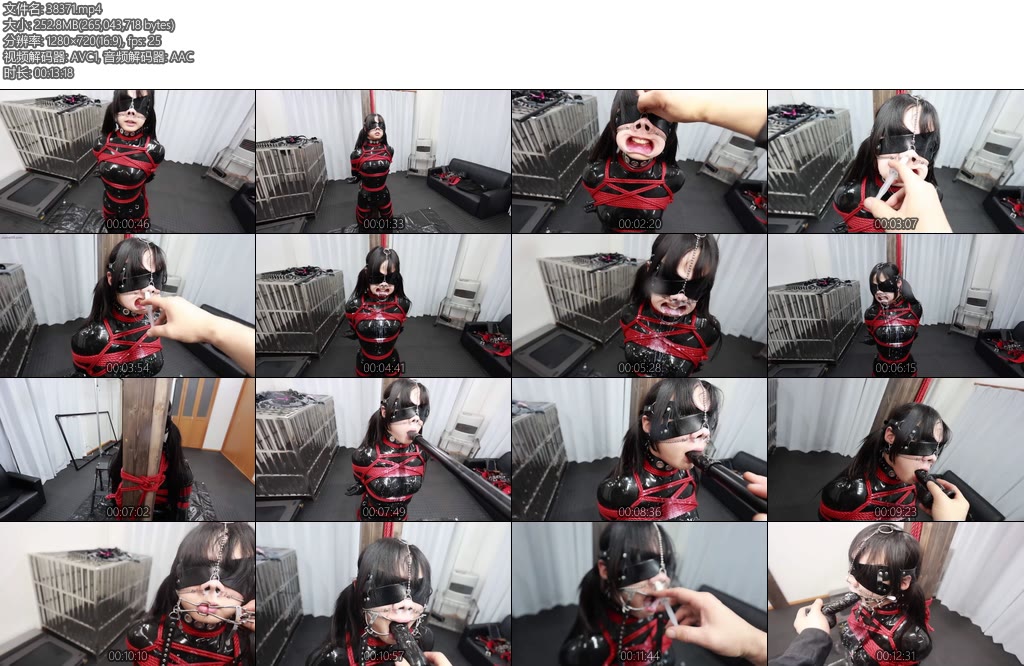 [D-Lemon] ラバー緊縛顔責め調教complete plan-丝依依