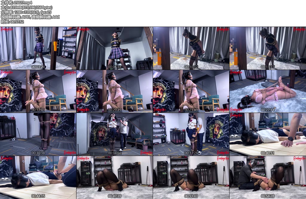 [绳精病] 综合约束集锦之一-丝依依