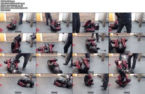 [D-Lemon] ヒトイヌ緊縛転がし定点complete plan-丝依依