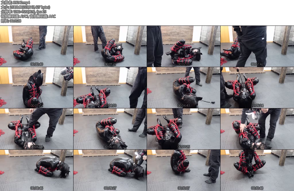 [D-Lemon] ヒトイヌ緊縛転がし定点complete plan-丝依依