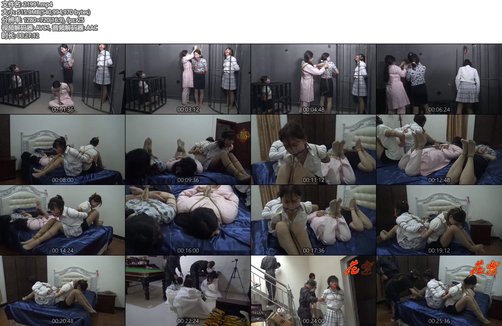 [胜景影视] 失败的营救（第三集）-丝依依