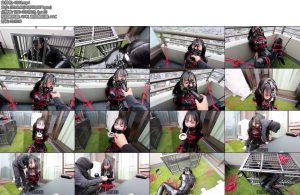 [D-Lemon] ラバー拘束飼育completeplan-丝依依