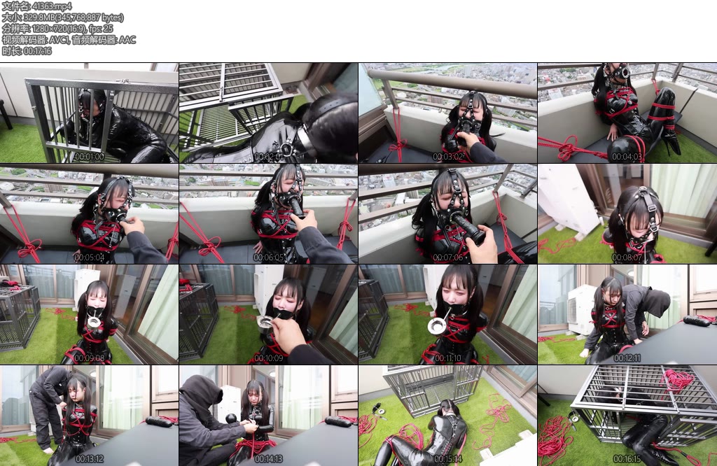 [D-Lemon] ラバー拘束飼育completeplan-丝依依