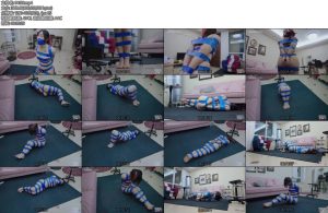 [半岛束艺] 布玛清理胶带库存-丝依依