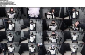 [D-Lemon] 制服拘束X_Xcomplete plan-丝依依