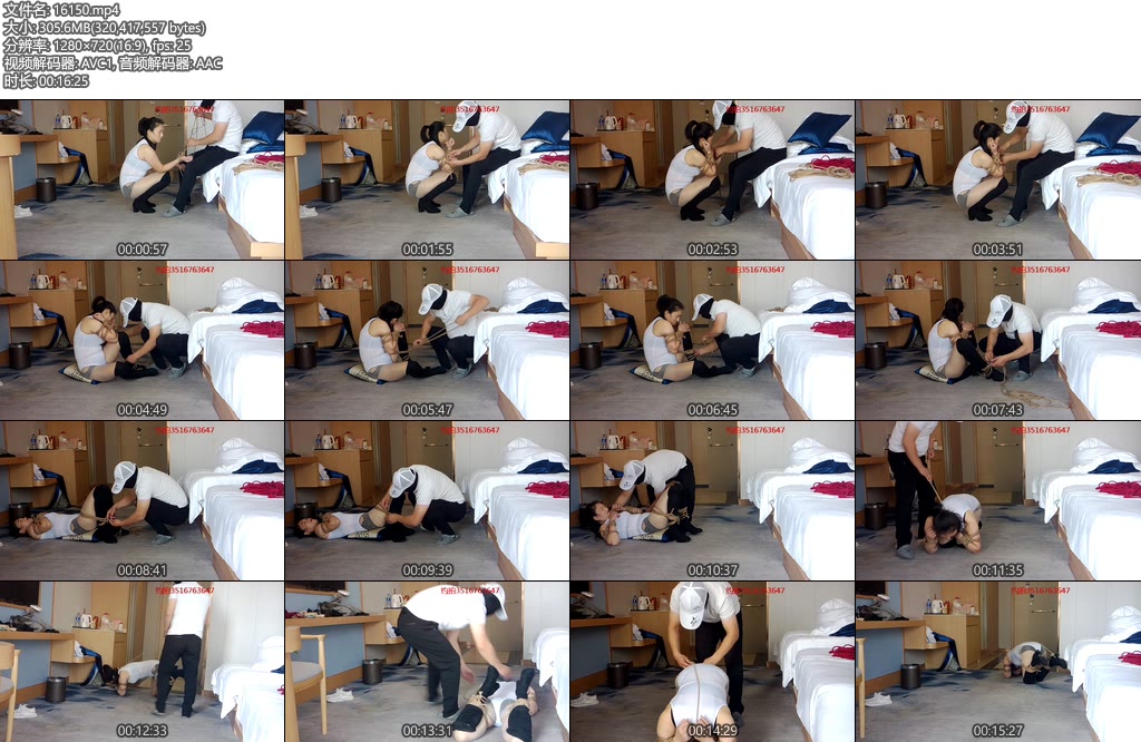 [江山原创] 茶艺师犬型训练，训练的目的就一个：合格的犬-丝依依