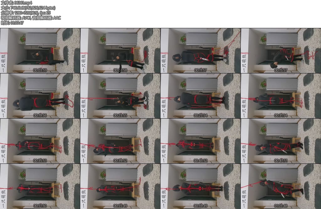 [一只萌熊] 肛钩电击强制垫脚踩石子罚站-丝依依