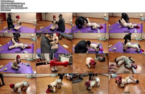 [一绳所爱] 大学女神陈依依玩K9-丝依依